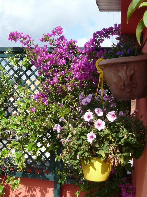 Bed & Breakfast Li Rioni Rom
